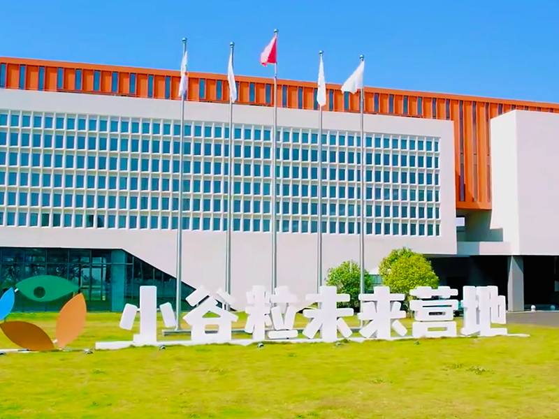 发展历程