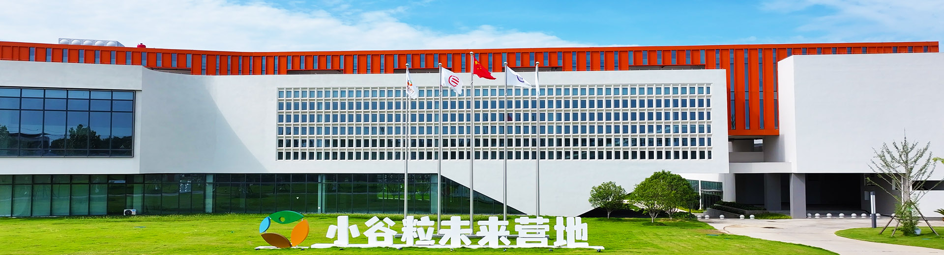 主营业务